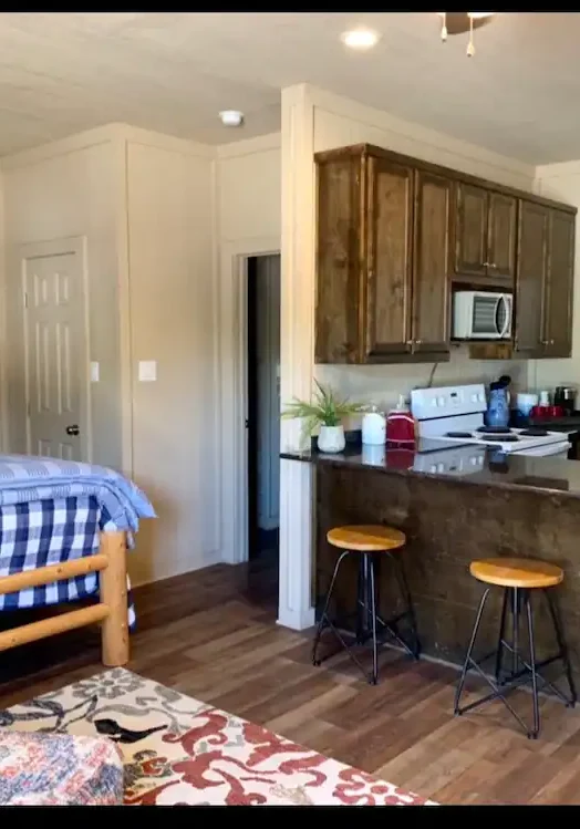 A kitchen with a bed and a sink